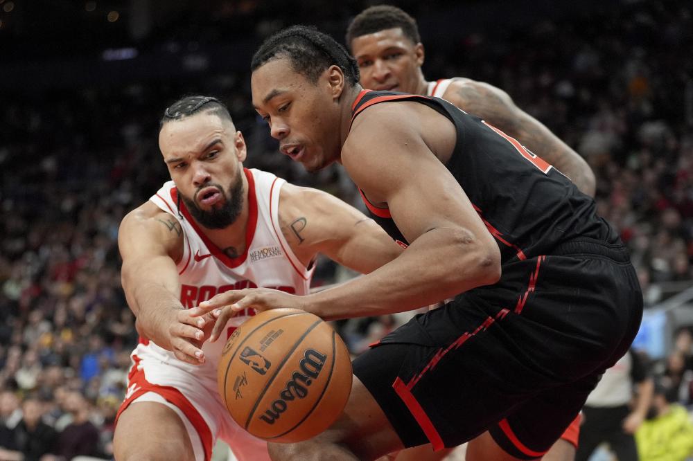 不仅展示了 不仅展示了